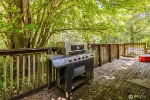 766 SE Cook Plant Farm Rd, Shelton, WA 98584 - Photo 3