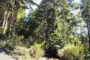 110 Marine View Dr, Belfair, WA 98528 - Photo 1