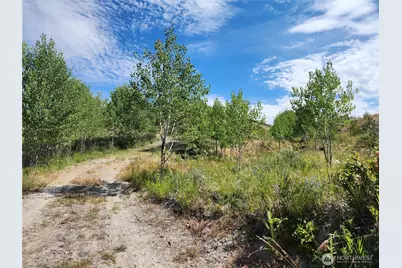 94 Allen Drive, Oroville, WA 98859 - Photo 3