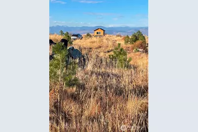 94 Allen Drive, Oroville, WA 98859 - Photo 27