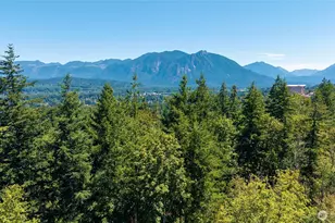 85 Xx 364th Ave SE, Snoqualmie, WA 98065 - Photo 1