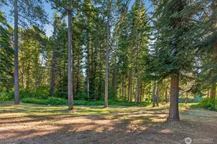 12369 S Shugart Flats Rd, Leavenworth, WA 98826 - Photo 39