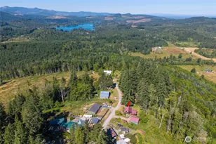 11413 501st St E, Eatonville, WA 98328 - Photo 39