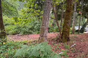 14140 Old Hwy 99 SE, Tenino, WA 98589 - Photo 17