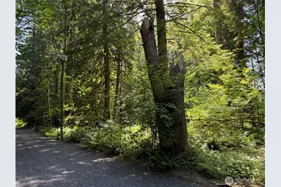 0 Silver Lake Road, Maple Falls, WA 98266 - Photo 3