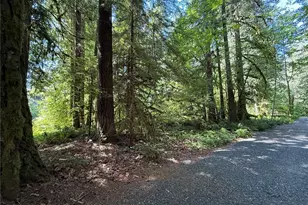 0 Silver Lake Rd, Maple Falls, WA 98266 - Photo 1