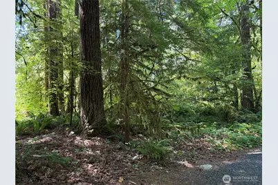 0 Silver Lake Road, Maple Falls, WA 98266 - Photo 5