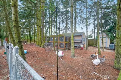 97 Arcadia Drive, Port Townsend, WA 98368 - Photo 29