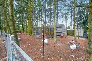97 Arcadia Dr, Port Townsend, WA 98368 - Photo 29