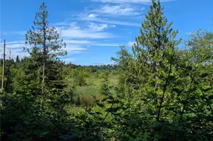 6109 Cemetery Rd, Arlington, WA 98223 - Photo 31