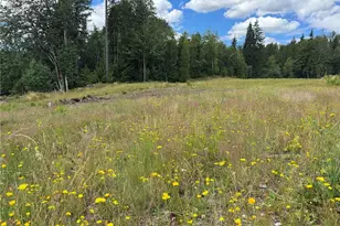 0 328th Ave NE, Duvall, WA 98019 - Photo 1