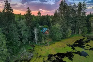 1177 Ripley Creek Rd, Quilcene, WA 98376 - Photo 3