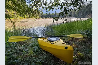 1177 Ripley Creek Road, Quilcene, WA 98376 - Photo 25