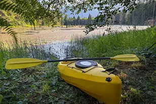 1177 Ripley Creek Rd, Quilcene, WA 98376 - Photo 25