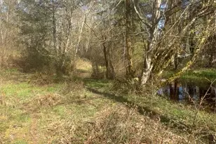 5842 137th Ave SW, Rochester, WA 98579 - Photo 3
