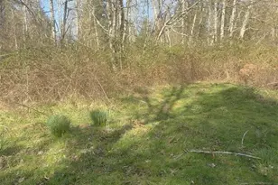 5842 137th Ave SW, Rochester, WA 98579 - Photo 5