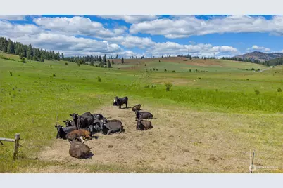 1371 Bettas Road, Cle Elum, WA 98926 - Photo 27