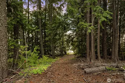 4193 Kachess Dam Road, Easton, WA 98925 - Photo 25