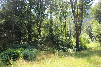 0 South Shore Drive, Mount Vernon, WA 98274 - Photo 3