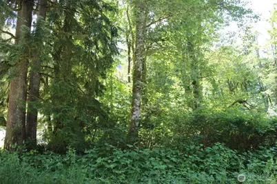 0 South Shore Drive, Mount Vernon, WA 98274 - Photo 1