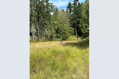 544 Copper Hill, Shaw Island, WA 98286 - Photo 19