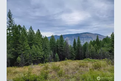 0 Dragon's Lair Lane, Curlew, WA 99118 - Photo 1