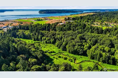 7030 97th Avenue SW, Lakewood, WA 98498 - Photo 5