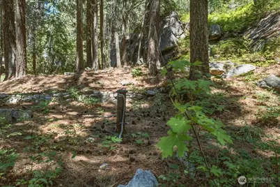 17964 Entiat River Road, Entiat, WA 98822 - Photo 15