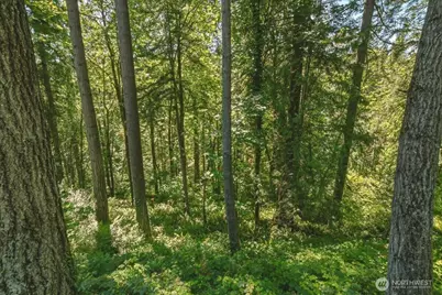 2425 Archwood Drive, Longview, WA 98632 - Photo 39