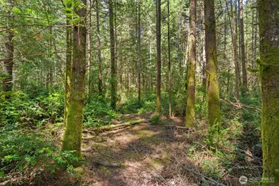 630 NW Coleman Court, Poulsbo, WA 98370 - Photo 19