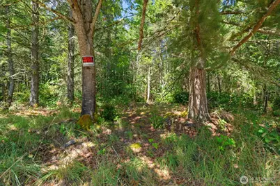 630 NW Coleman Court, Poulsbo, WA 98370 - Photo 17