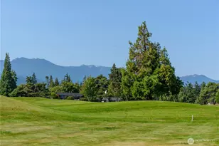 264 Lone Eagle Ln, Sequim, WA 98382 - Photo 17