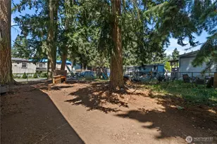 6605 237th Street E, Graham, WA 98338 - Photo 27