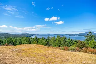 194 Channel Heights Way, Friday Harbor, WA 98250 - Photo 7