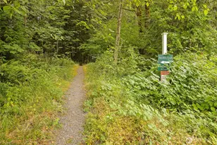 22760 SE 43rd Ct, Issaquah, WA 98029 - Photo 29