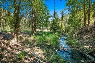 10547 Merry Canyon Rd, Leavenworth, WA 98826 - Photo 5