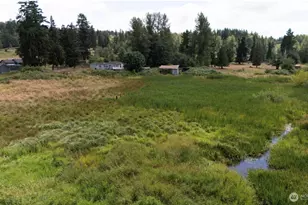 10316 352nd St E, Eatonville, WA 98328 - Photo 3