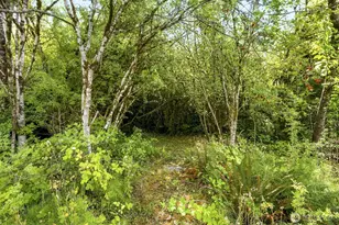 5544 Old Hwy 410 SW, Olympia, WA 98512 - Photo 15