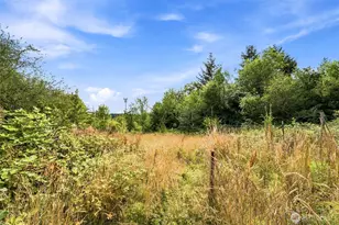 5544 Old Hwy 410 SW, Olympia, WA 98512 - Photo 9