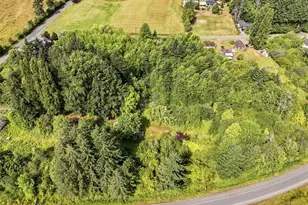 5544 Old Hwy 410 SW, Olympia, WA 98512 - Photo 13