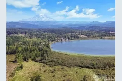40317 Dean Kreger Road E, Eatonville, WA 98328 - Photo 7