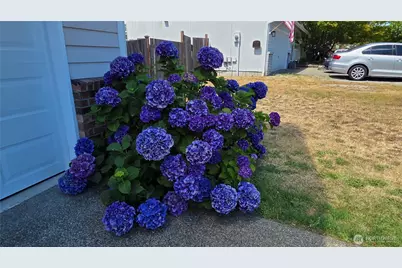 128 Berggren Road N, Eatonville, WA 98328 - Photo 29