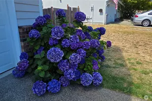128 Berggren Rd N, Eatonville, WA 98328 - Photo 29