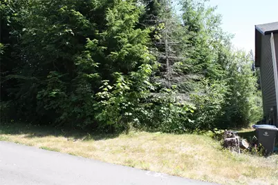 70 E Ellinor Peak Place, Belfair, WA 98528 - Photo 3