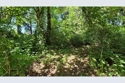 123 Mulford Street, Toledo, WA 98591 - Photo 5
