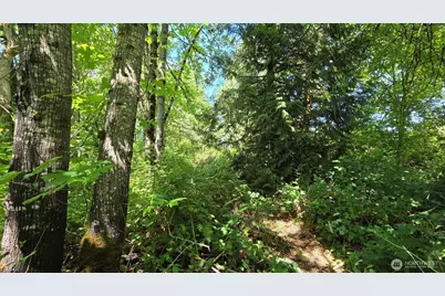 123 Mulford Street, Toledo, WA 98591 - Photo 7