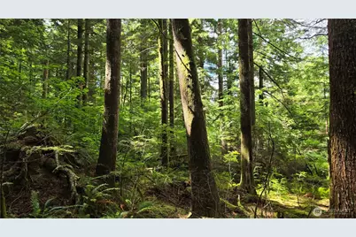 33317 SE Kent Kangley Road, Ravensdale, WA 98051 - Photo 21