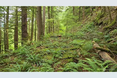 33317 SE Kent Kangley Road, Ravensdale, WA 98051 - Photo 19