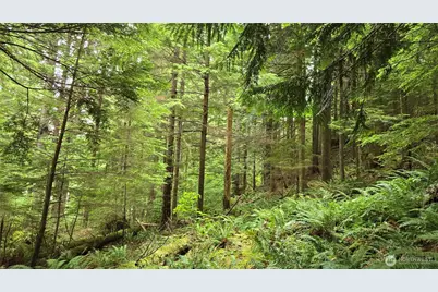 33317 SE Kent Kangley Road, Ravensdale, WA 98051 - Photo 17