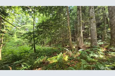 33317 SE Kent Kangley Road, Ravensdale, WA 98051 - Photo 23